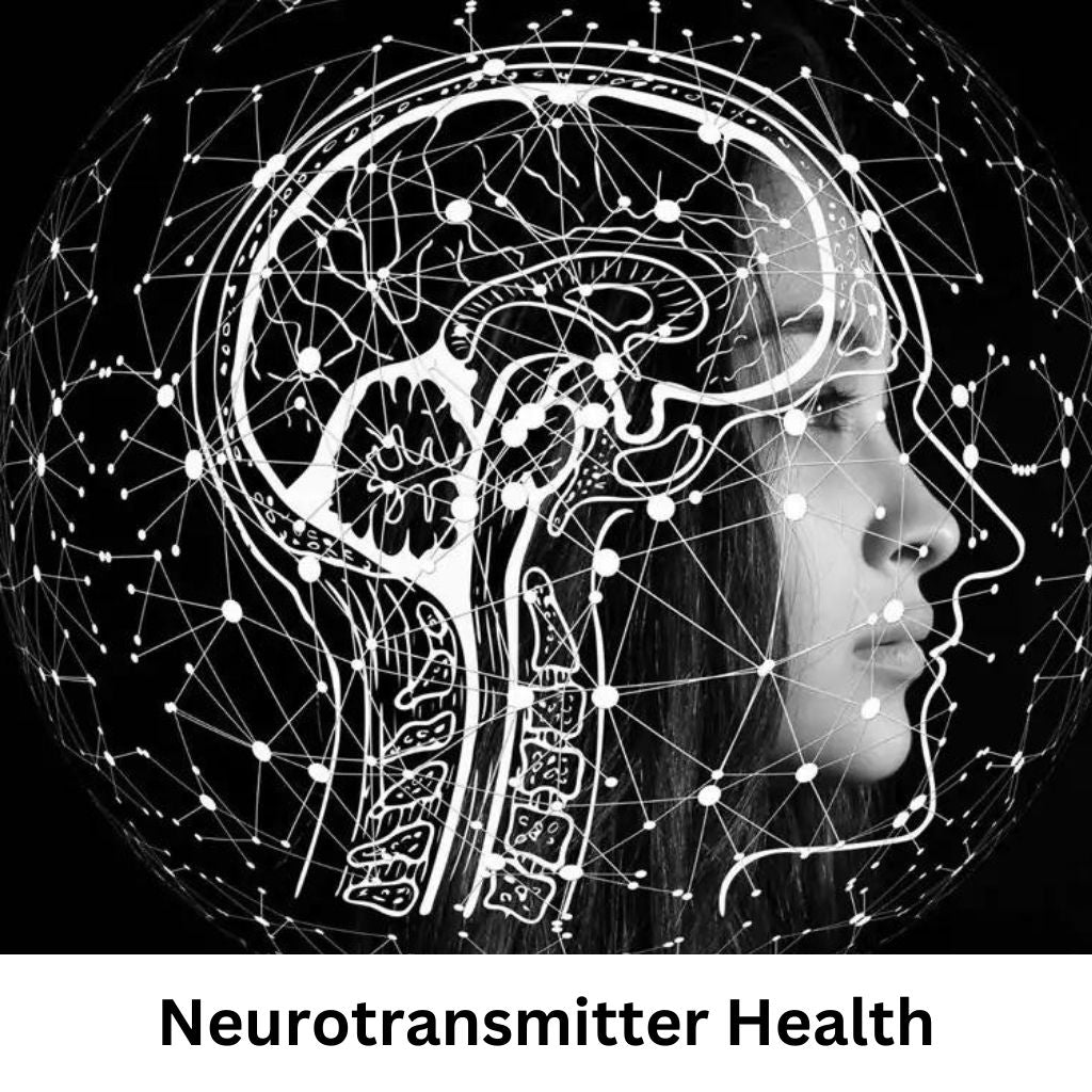 Neurotransmitters Health